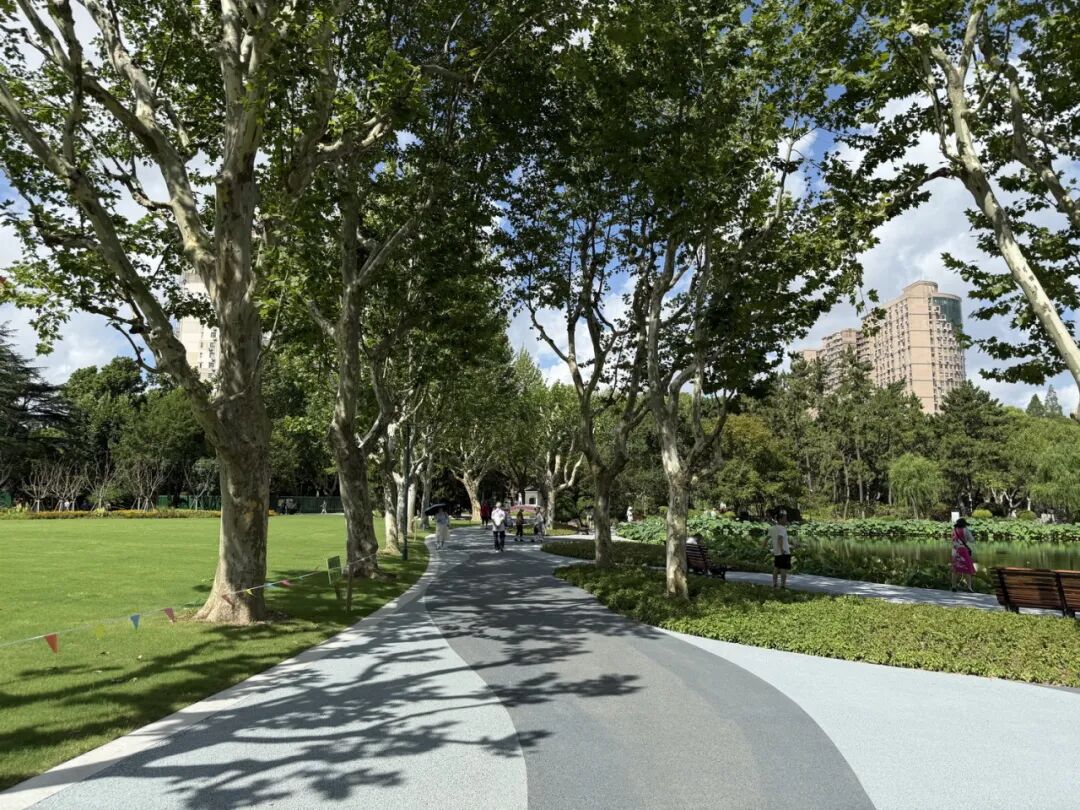 中国园林·理事专栏|“拓”之力量：杨浦公园改造纪实(三)-77
