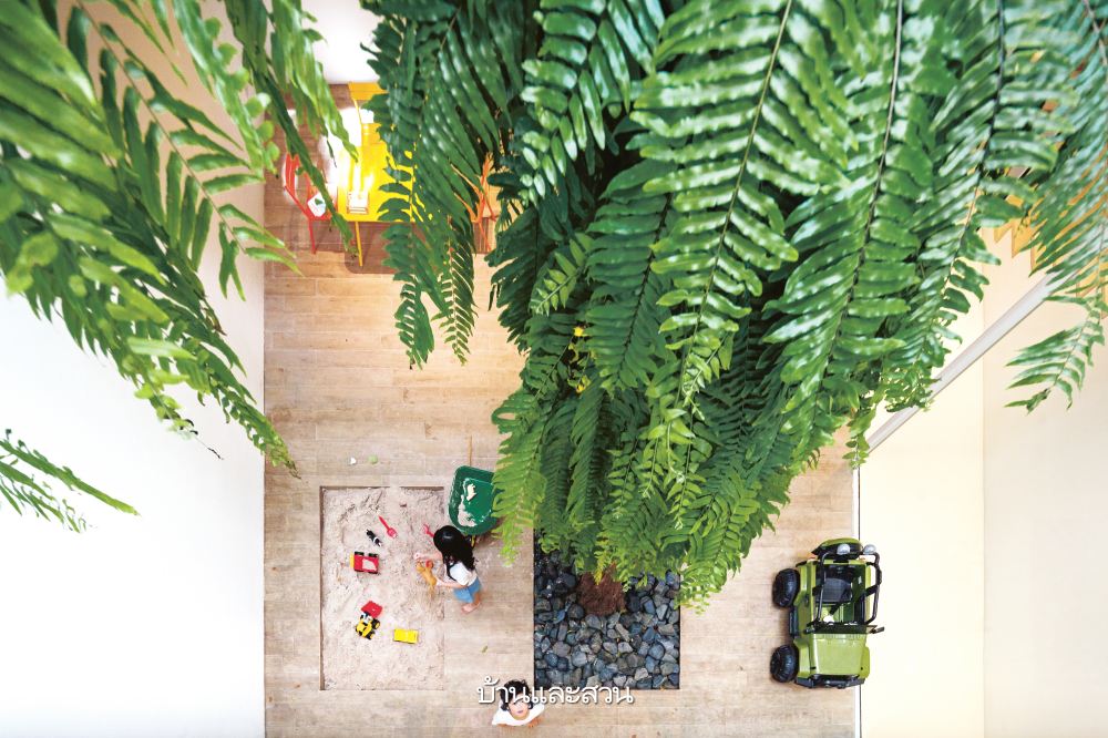 บ้านกล่องหลังคาทรงจั่ว ที่เปิดคอร์ตกลางรับพื้นที่สีเขียว - บ้านและสวน-7