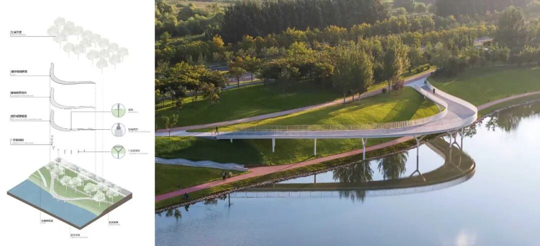 宁溪河道的回归与新生|长春新区宁溪公园提升改造项目-60