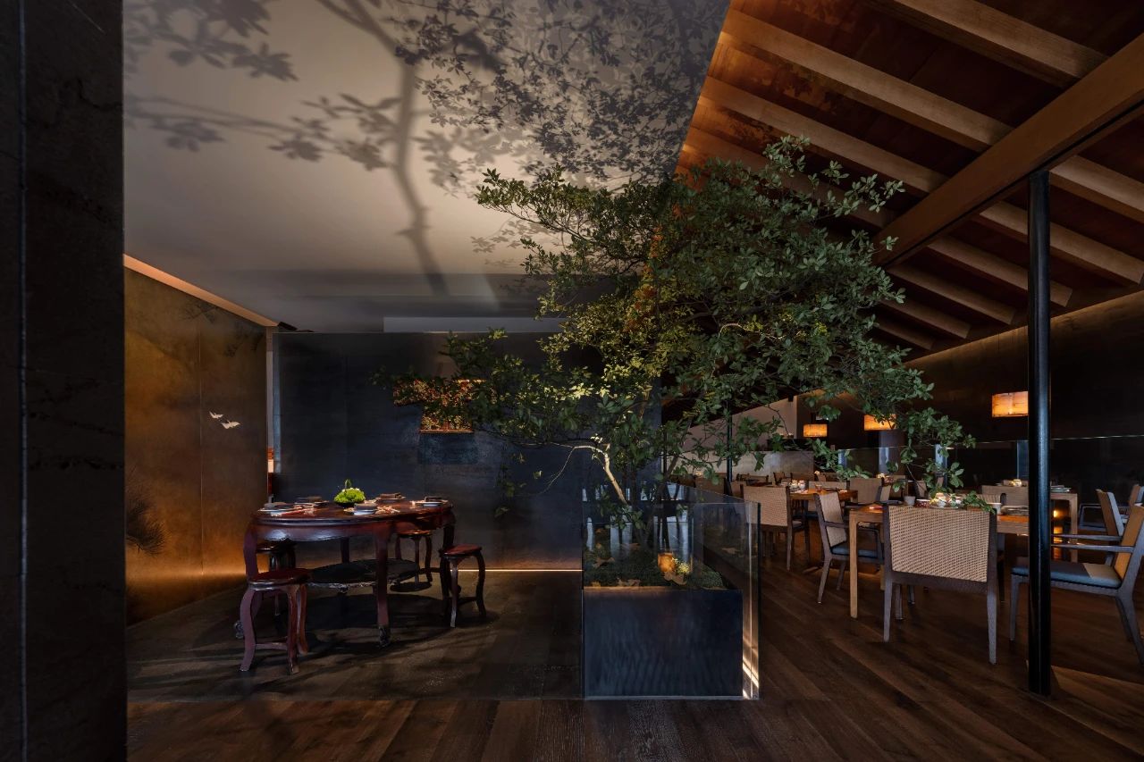 玖伍京菜丨中国温州丨无形美学-56