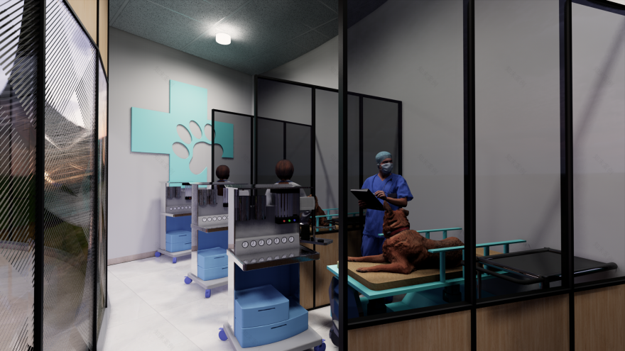 CENTRO DE ATENCION INTEGRAL-52