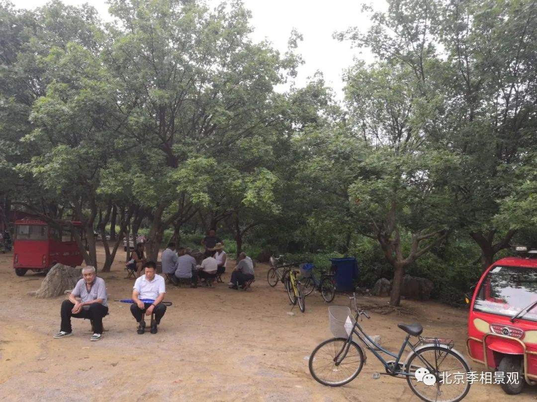 临沂湖台遗址公园景观提升设计丨中国临沂丨北京季相景观-13