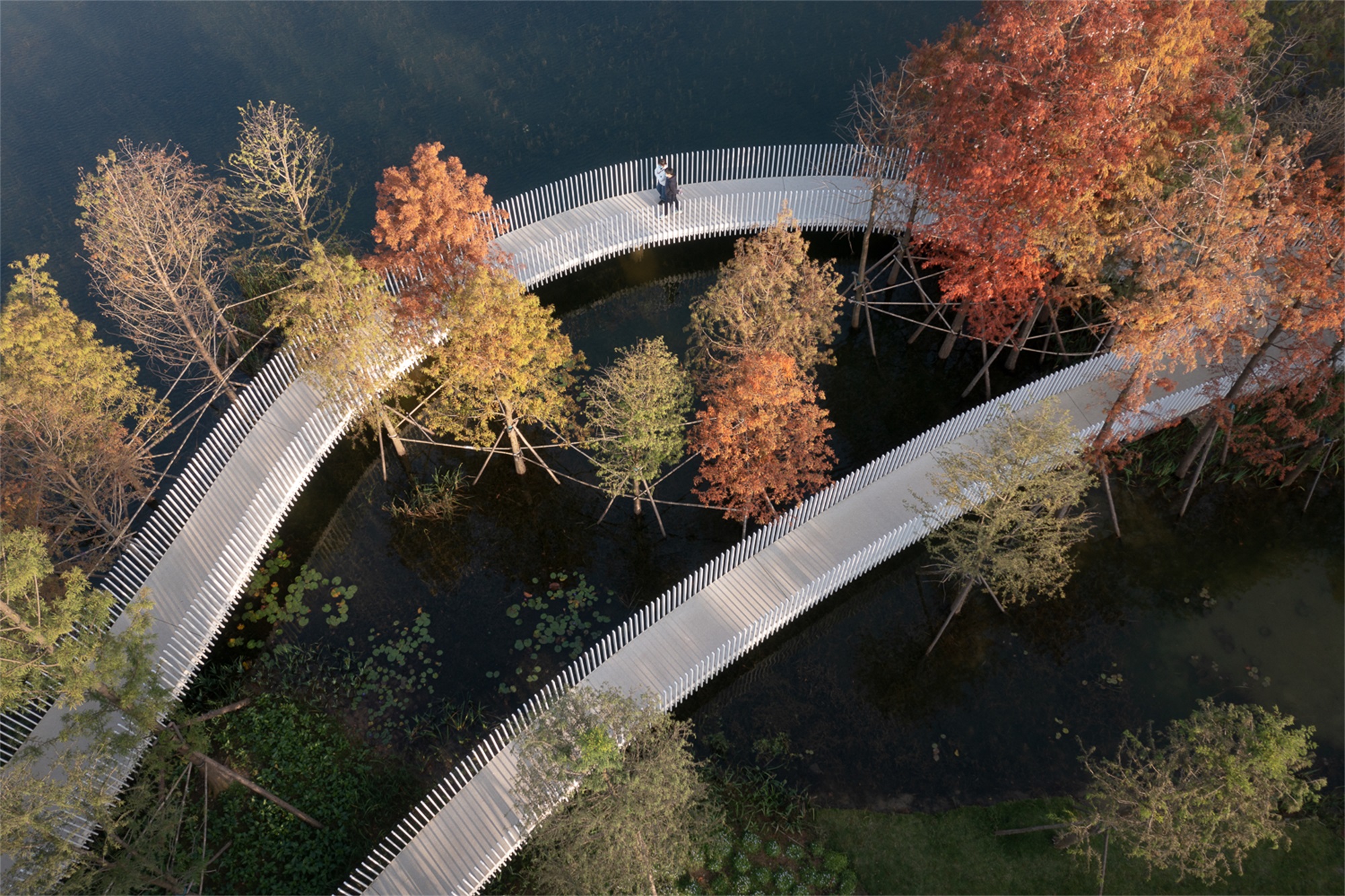 成都兴隆湖·湖畔森林图书馆丨中国成都丨昱道景观-57