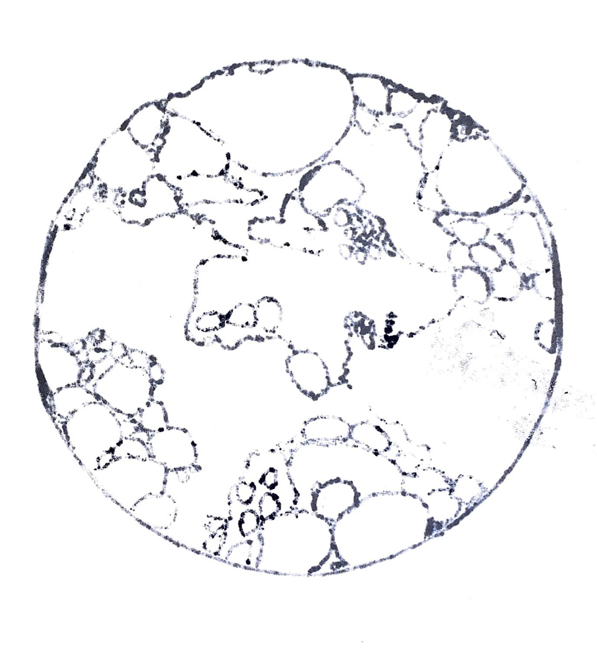 EJERCICIO 2: EL ESPACIO DESDE LOS ELEMENTOS NATURALES-64