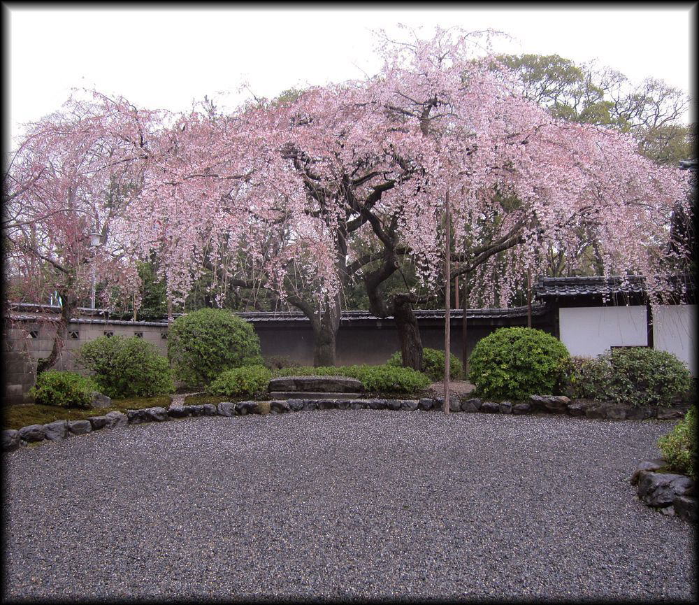 有栖川宮旧邸宅（平安女学院有栖館）丨日本京都丨11代目小川治兵衛（7代小川治兵衛末裔）-27