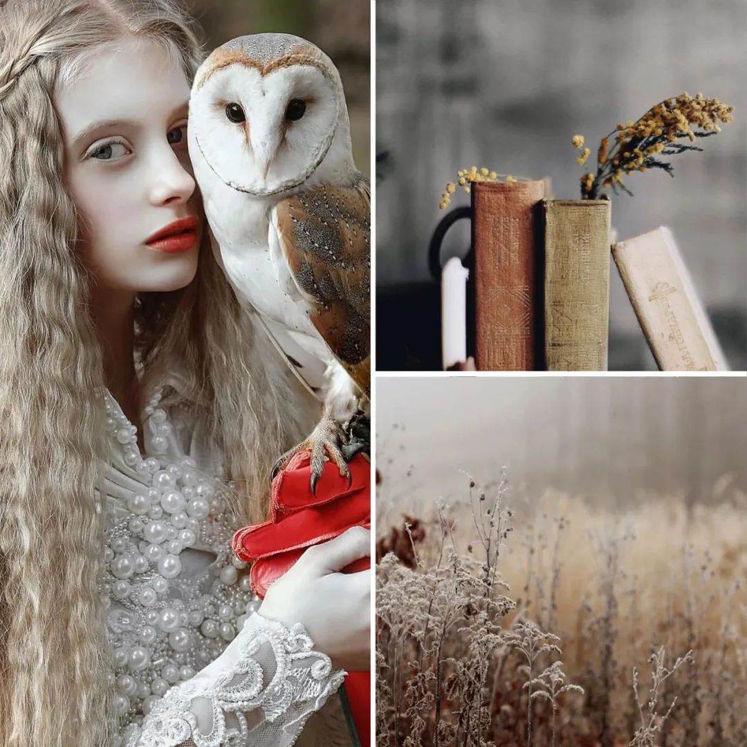 滨江 • 鸣翠里·桐间露落丨龙庭设计-1