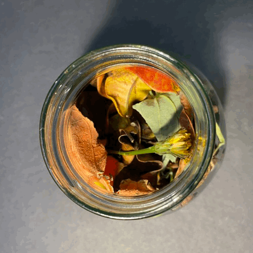 自然元素空间设计-8