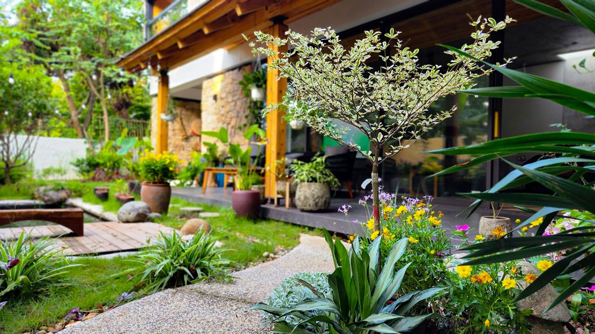 绿意盎然的家庭乐园 | HOH 建筑与 construction-4