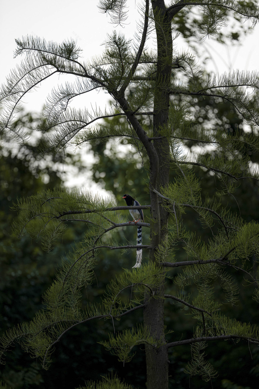 荒野中的明灯 · 宜兴窑湖镇青鱼湖公园丨Change Studio-49