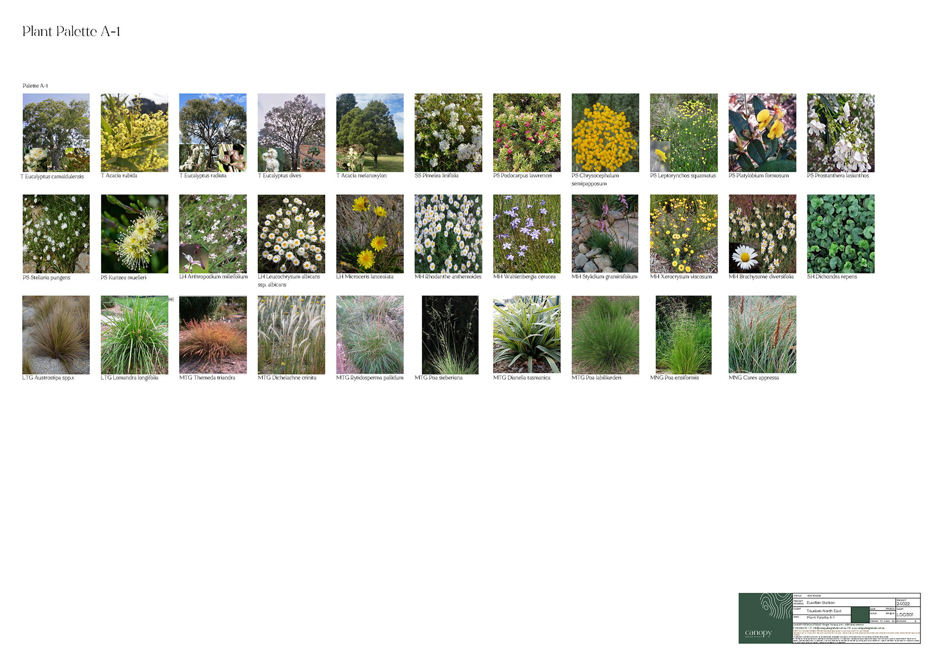 West End Mi·ed Use,Aged Care等多个项目丨加拿大维多利亚-45