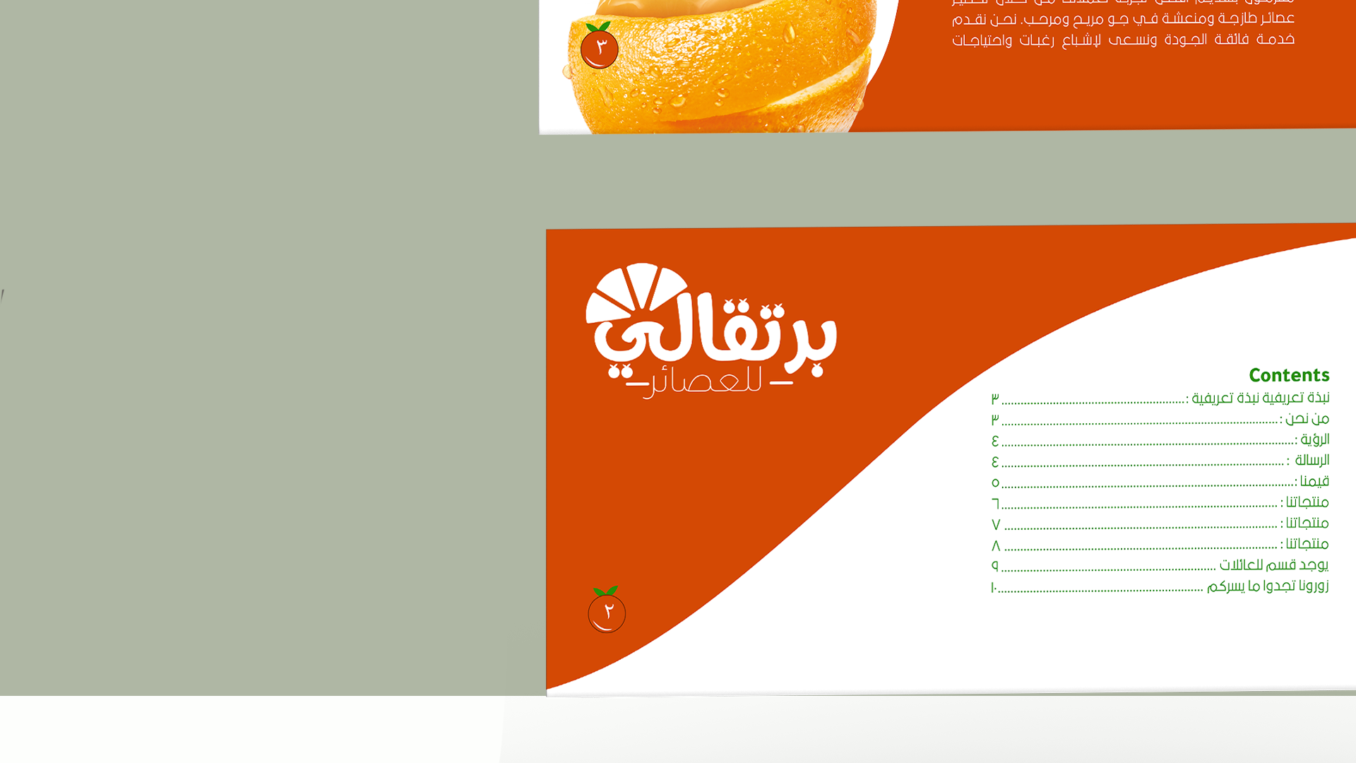 Design a professional electronic company profile-6