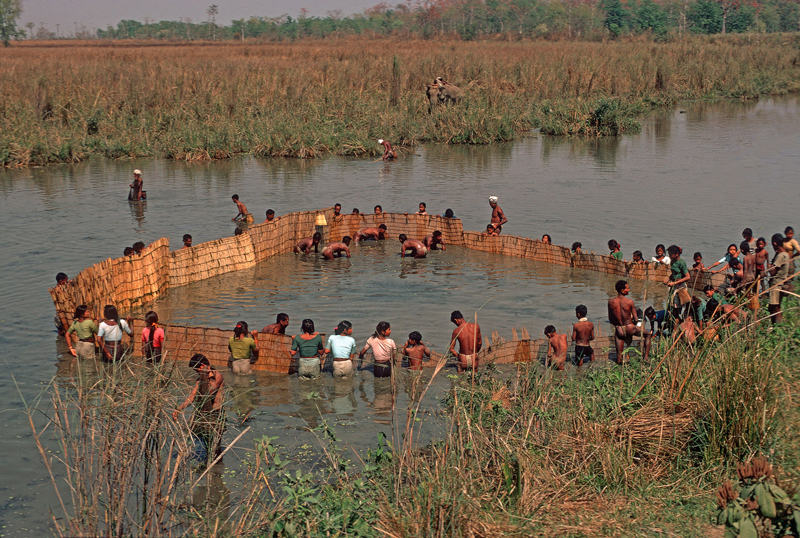 丨尼泊尔丨Abari-1