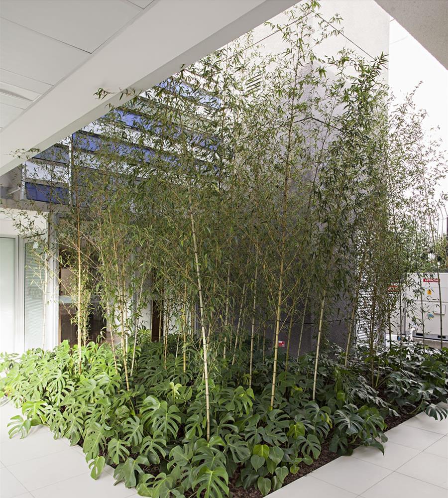 斯科普斯技术公司总部大楼所在地-9