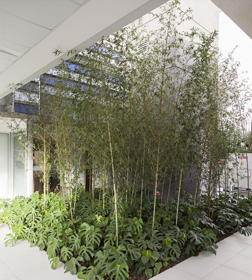 斯科普斯技术公司总部大楼所在地-9