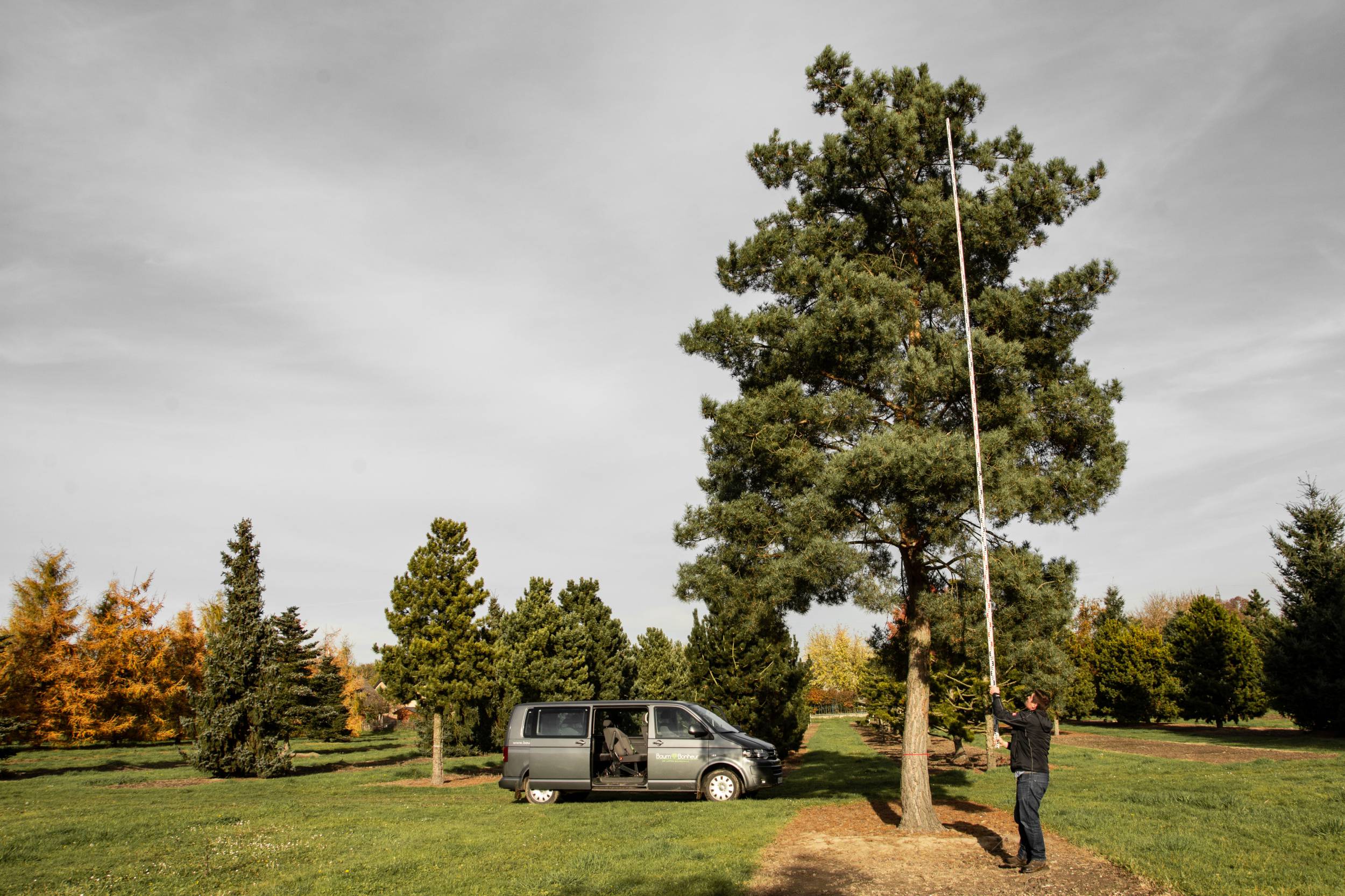 奥运树木种植  未来圣但尼水上中心景观项目丨法国-16