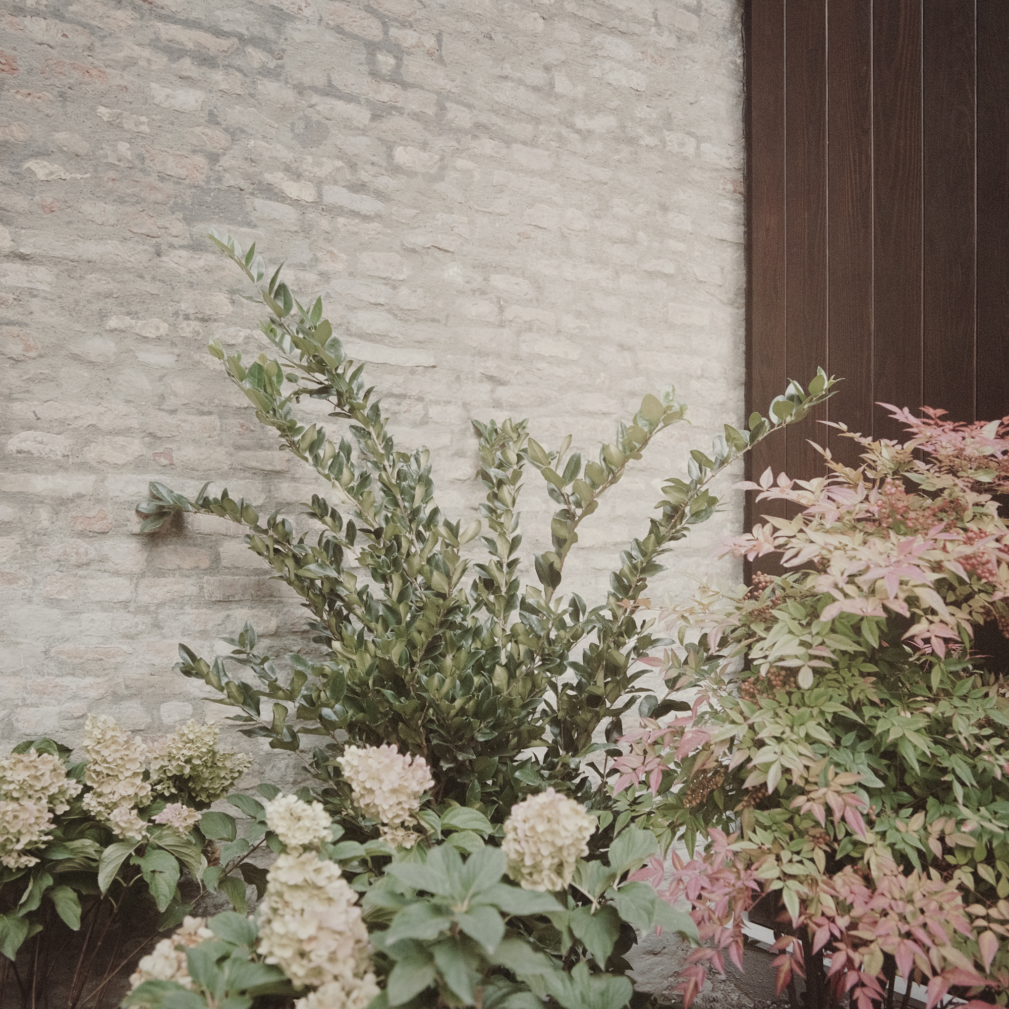 安妮的房子丨意大利丨Giovanni Mecozzi Architetti-31