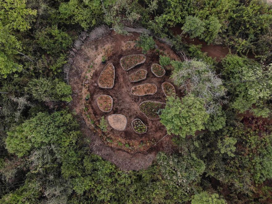 墨西哥森林花园-48