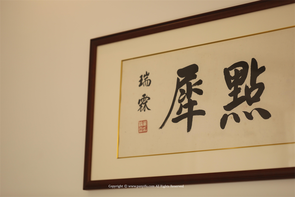 清风活水 · 潘艺夫团队 · IFPD 案例-51