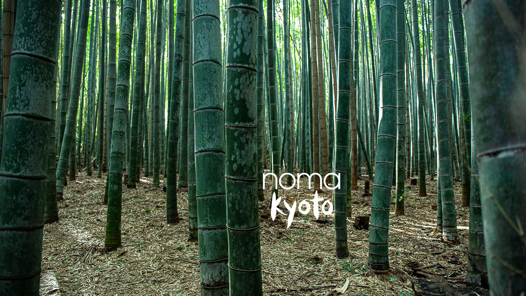 Noma 京都餐厅室内设计丨日本京都丨OEO Studio-26