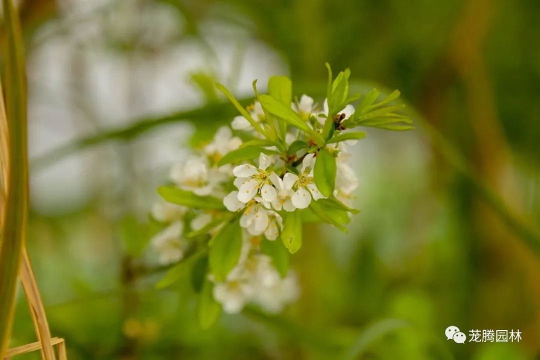 行走的茏腾人 | 深秋韶关的自然之美-58