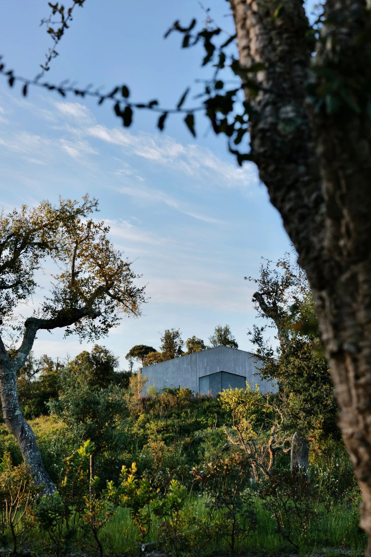 São Lourenço do Barrocal庄园丨葡萄牙丨Eduardo Souto de Moura-82