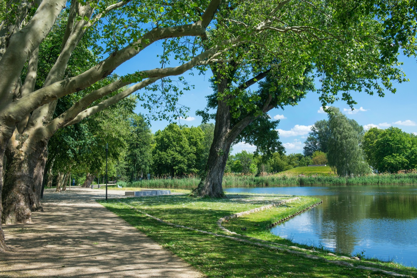 城市花园复兴 · 德国布尔城市中心更新-21
