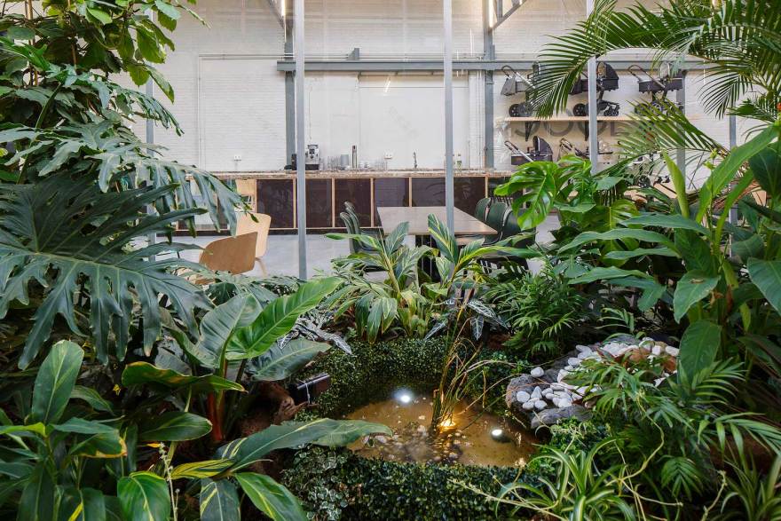 绿意盎然的工作空间 | JOOLZ HQ 的室内设计-9