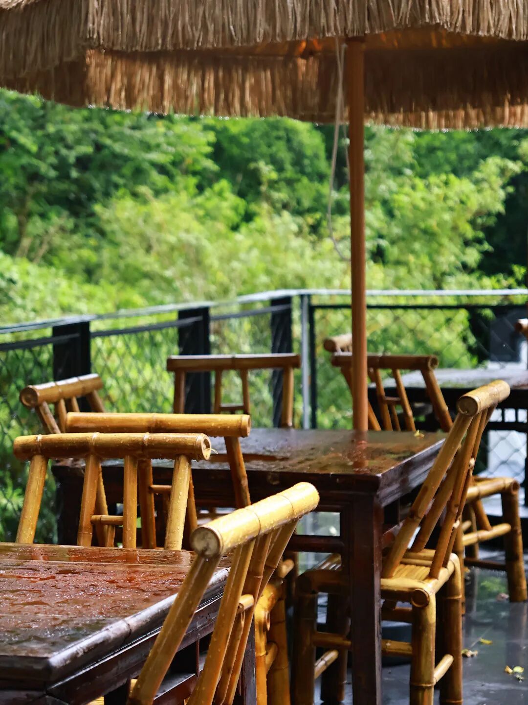 深圳园博园：用公园打开城市生活新方式-62