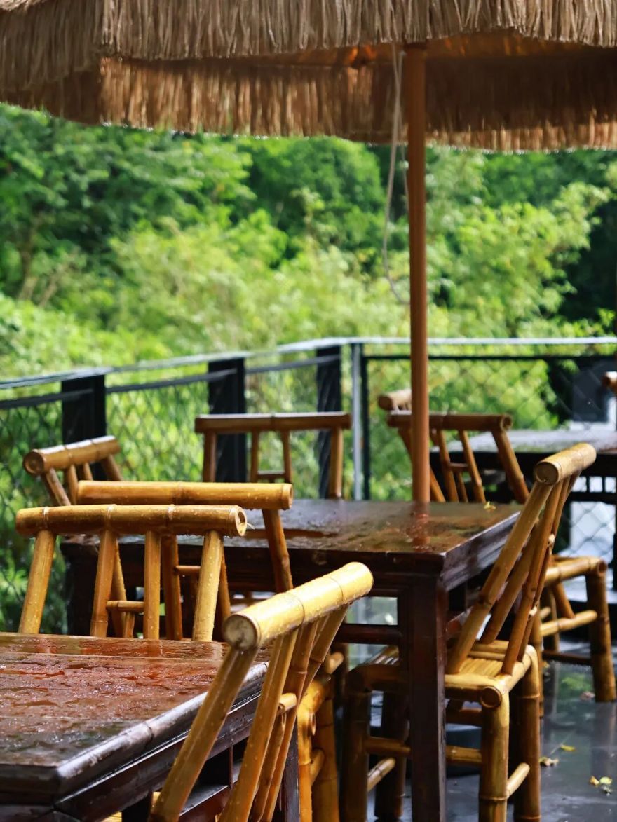 深圳园博园:用公园打开城市生活新方式-62