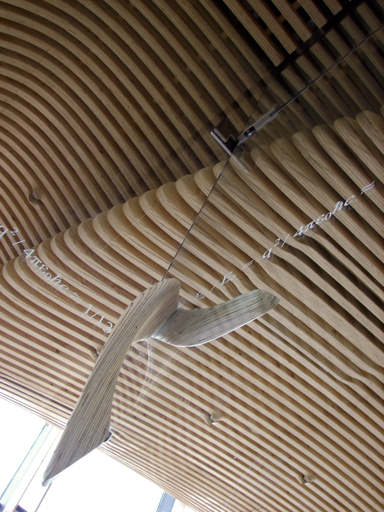 一个主要办公室翻新丨美国丨dECOi Architects-70