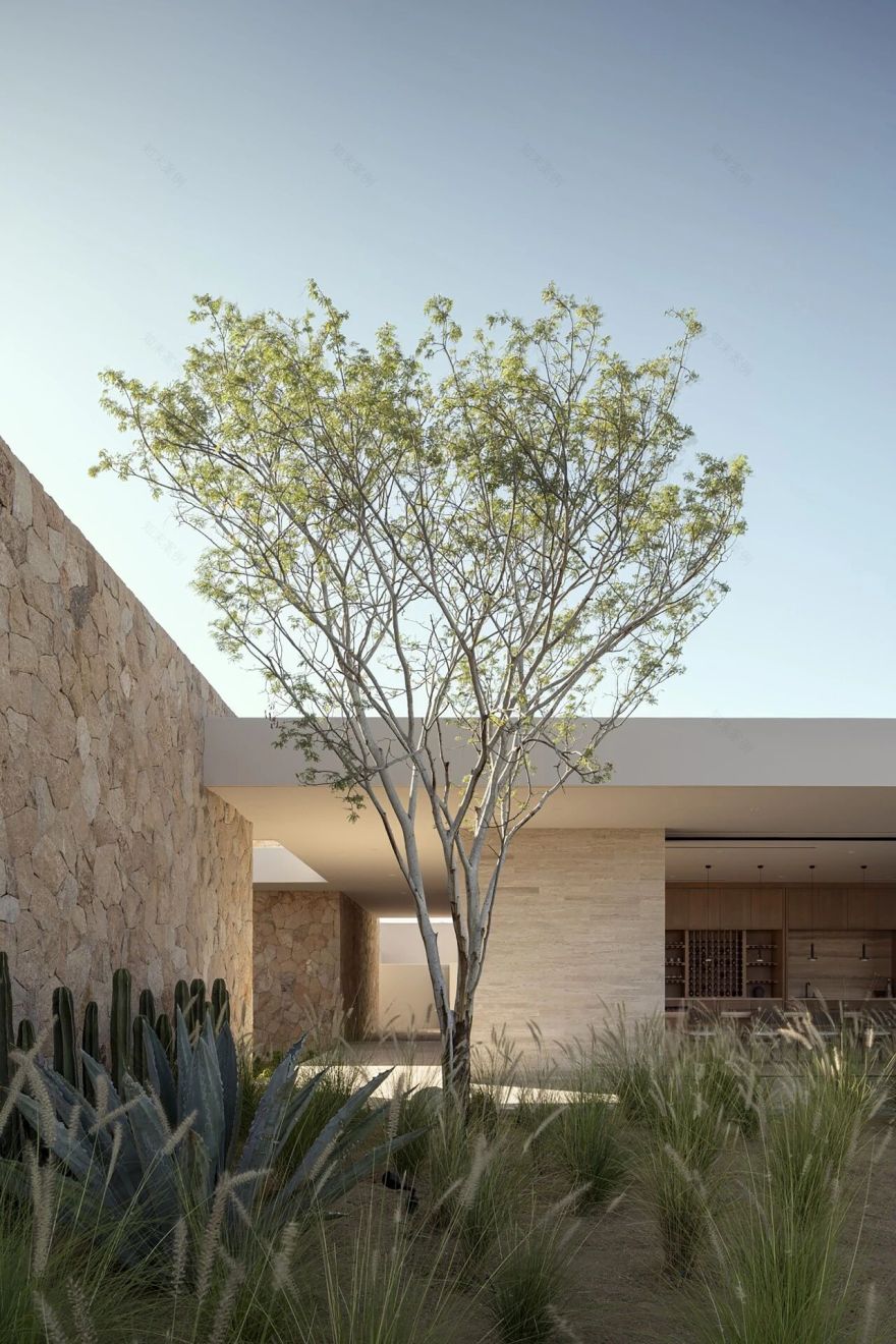 马卡纳之家丨墨西哥丨Enekén Studio-108