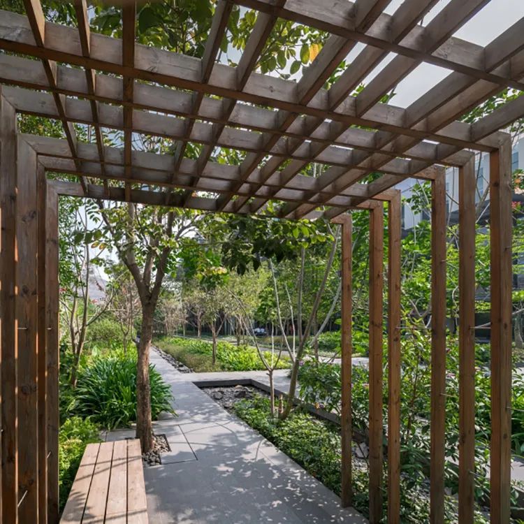 印度 Lupin Research 公园-21