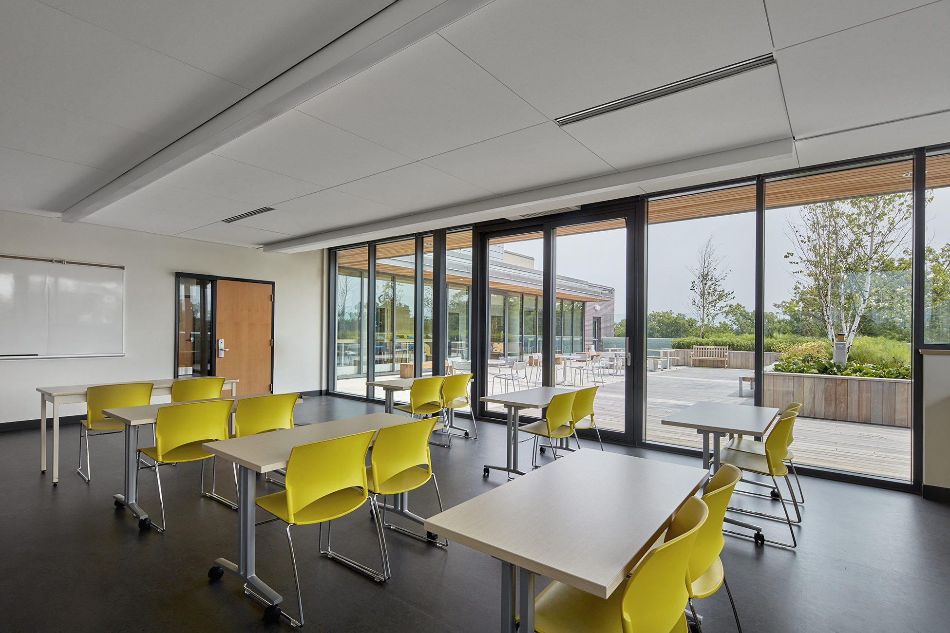 News - Montgomery Sisam-53