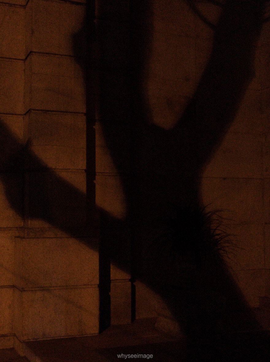 明亮时刻 · 不如回到街头丨中国上海丨whyseeimage-78