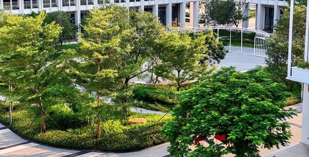 新闻|荣誉高光鹏城实验室园区荣获深圳市风景园林协会质量等级评定规划设计类优秀奖！-94