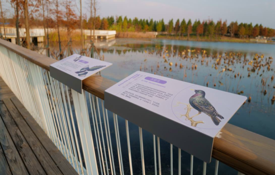 上海碧云绿地丨中国上海丨AECOM-41