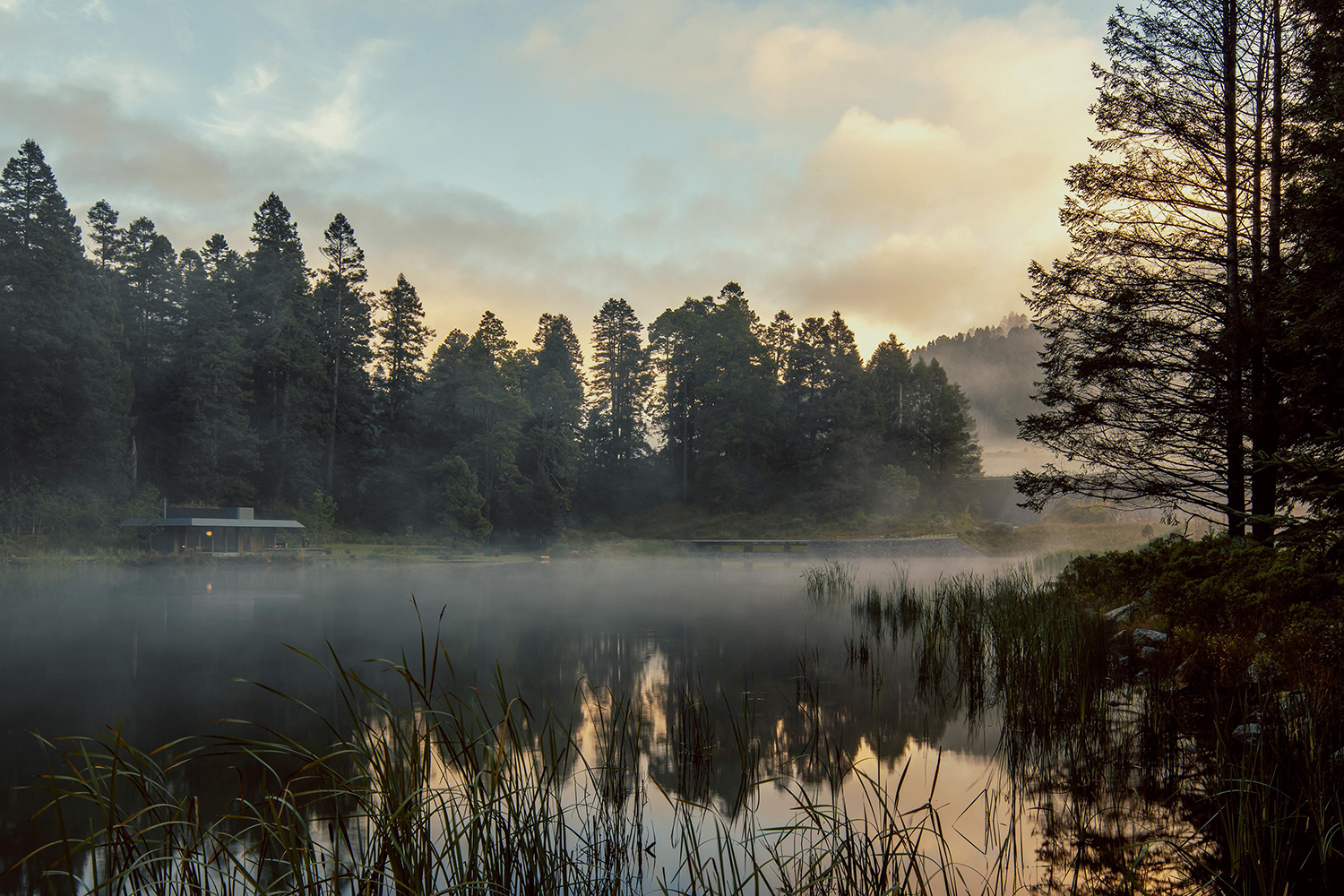 埃尔埃斯皮诺别墅景观丨墨西哥丨Dirección 设计工作室-79