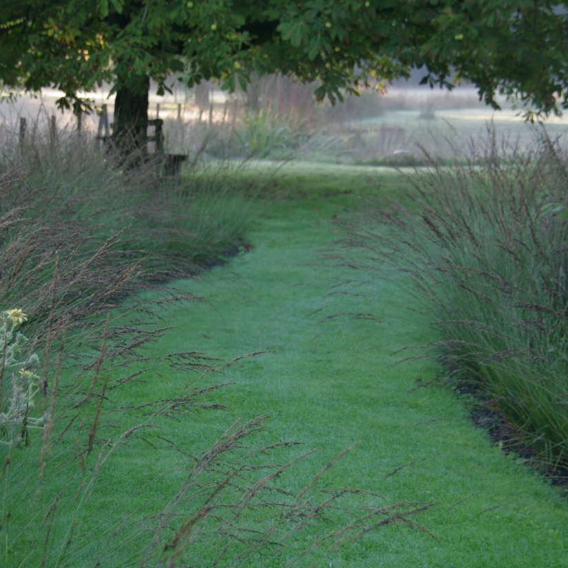 Grassentuin（草坪花园）等相关花园项目丨Chris Ghyselen（景观建筑师）-4