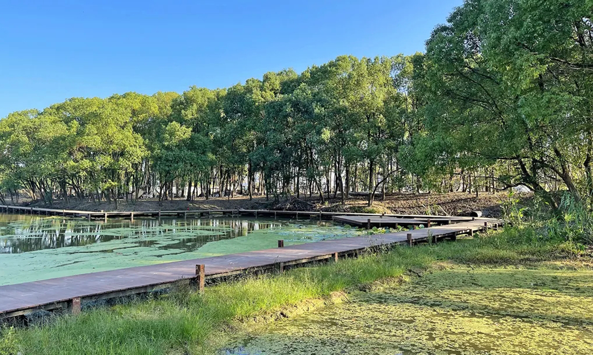 苏州桃源森林国际度假区魔法乐园丨中国苏州-9