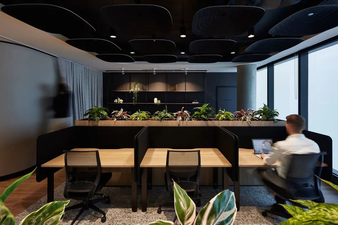 悉尼 JQZ 办公样板间丨澳大利亚悉尼丨Sheldon Interiors-17