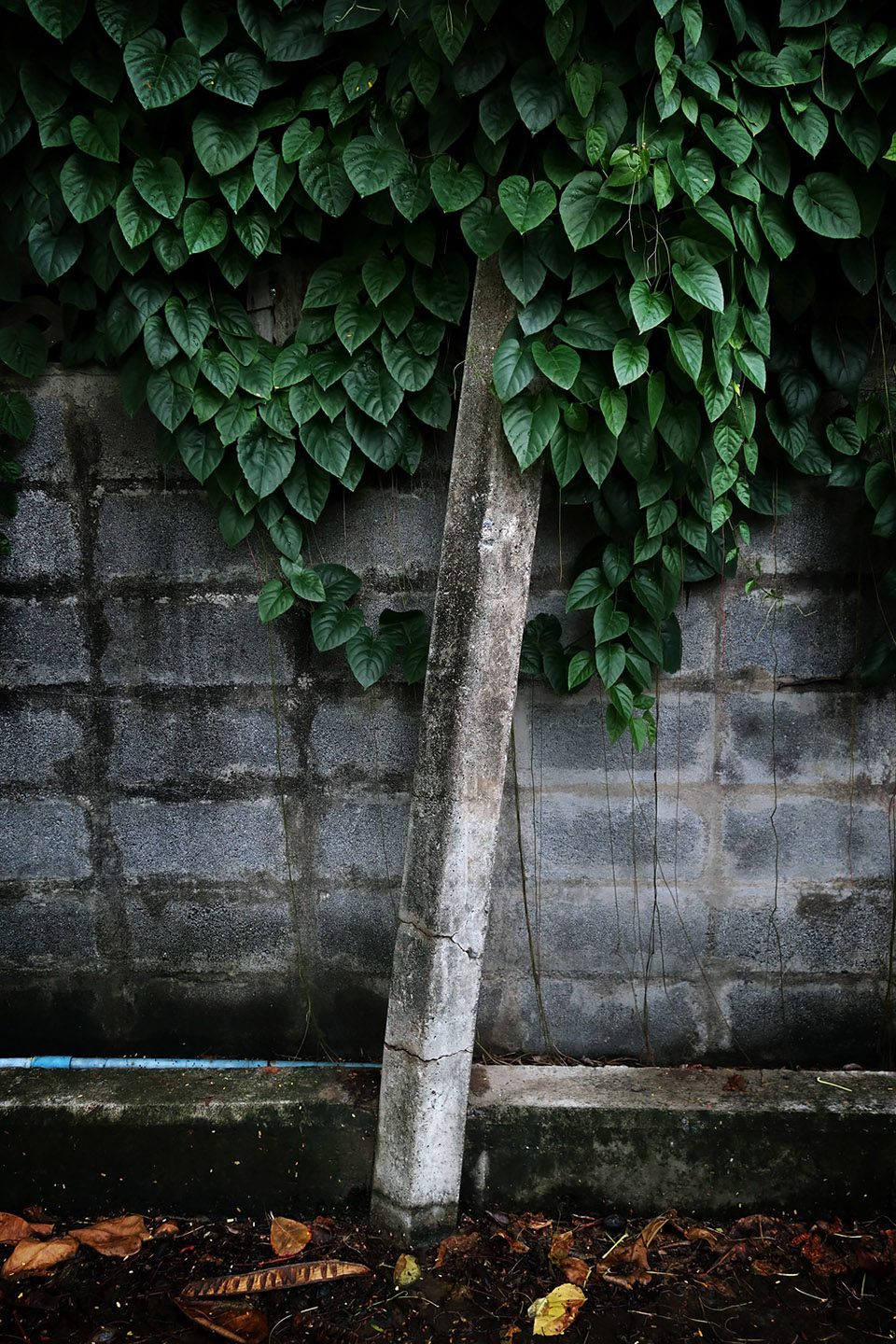 天兆 | 都市怪谈的启示-16