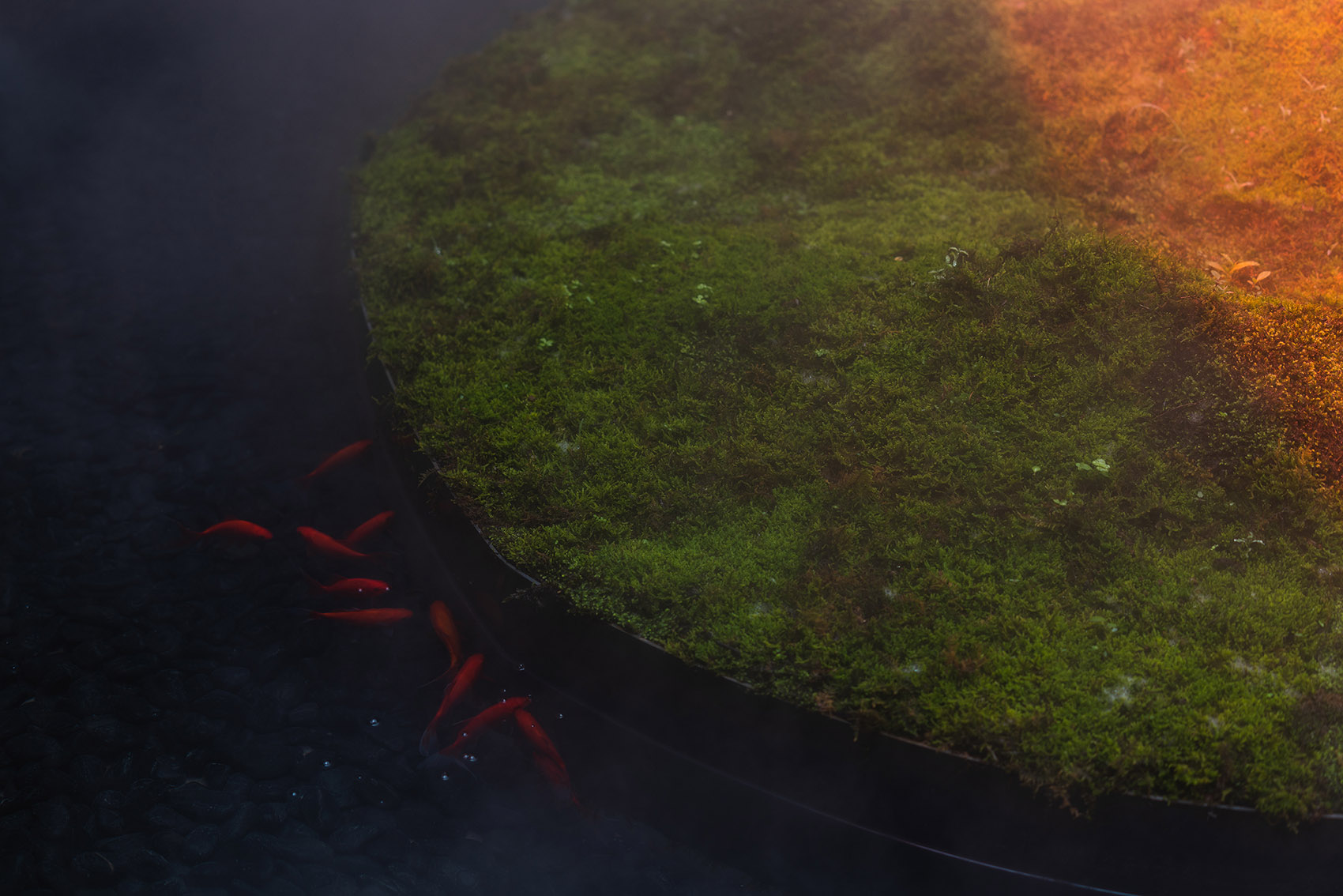 宽三堂东方人文生活空间丨中国成都丨MUDA慕达建筑-109