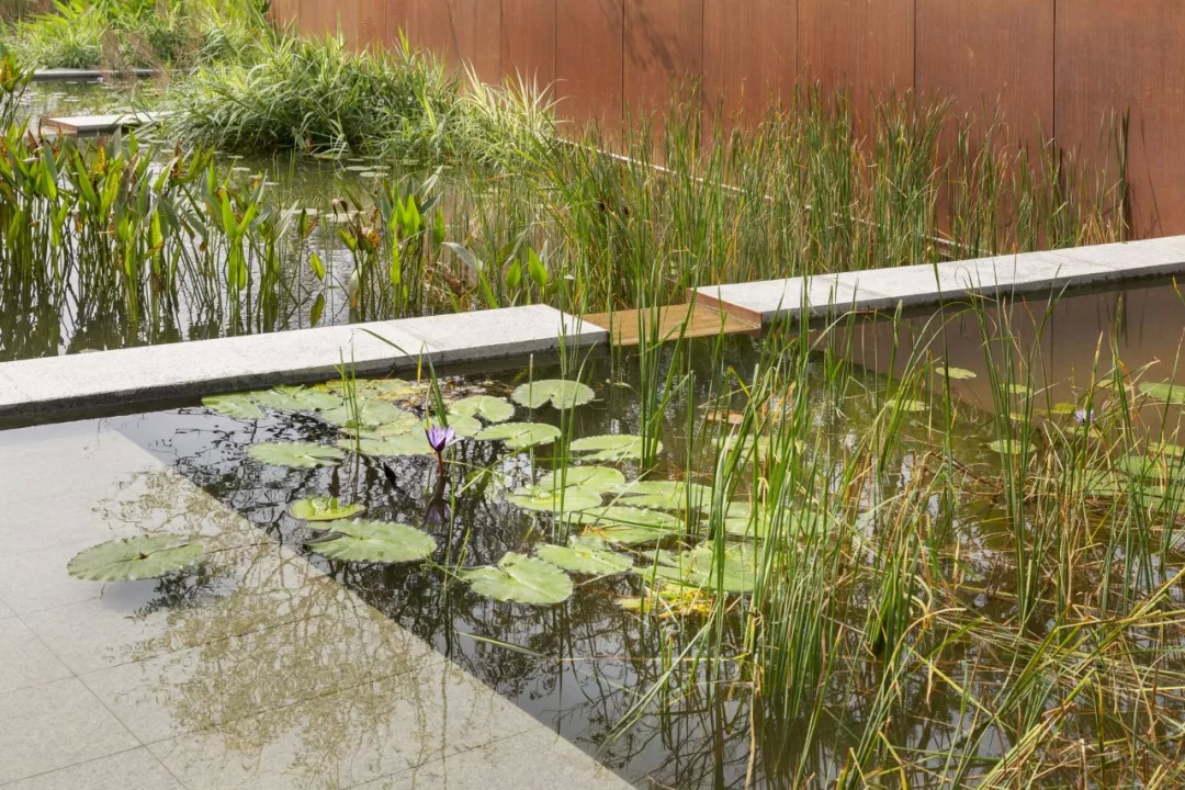 成都麓湖生态城-11