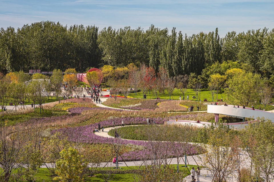 花漾之境:北小河公园樱花谷环境改造提升设计丨中国北京丨埊木设计（CAFA·A城市艺术创新中心）-27
