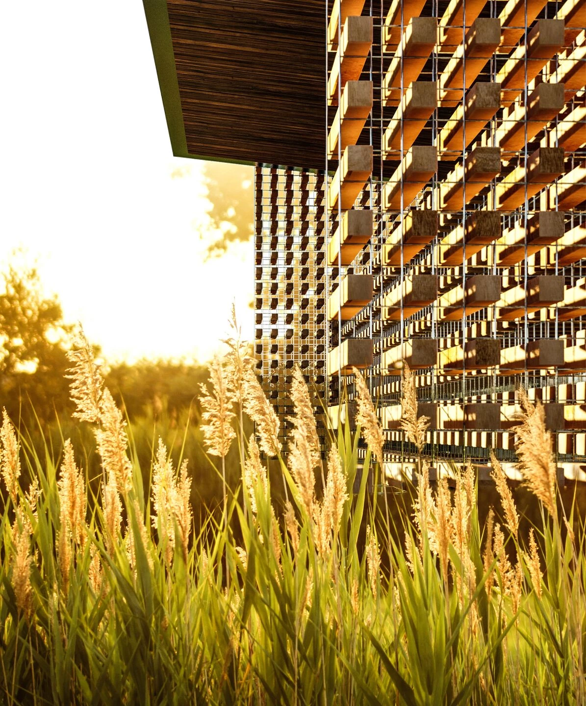 巴西 Aerada House丨巴西圣保罗丨Tetro Arquitetura e Engenharia-14