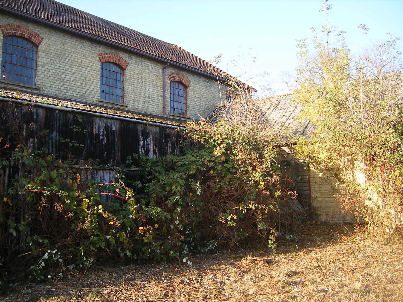 剑桥 ACE 基金会粮仓改造 | 文化教育的新地标-62