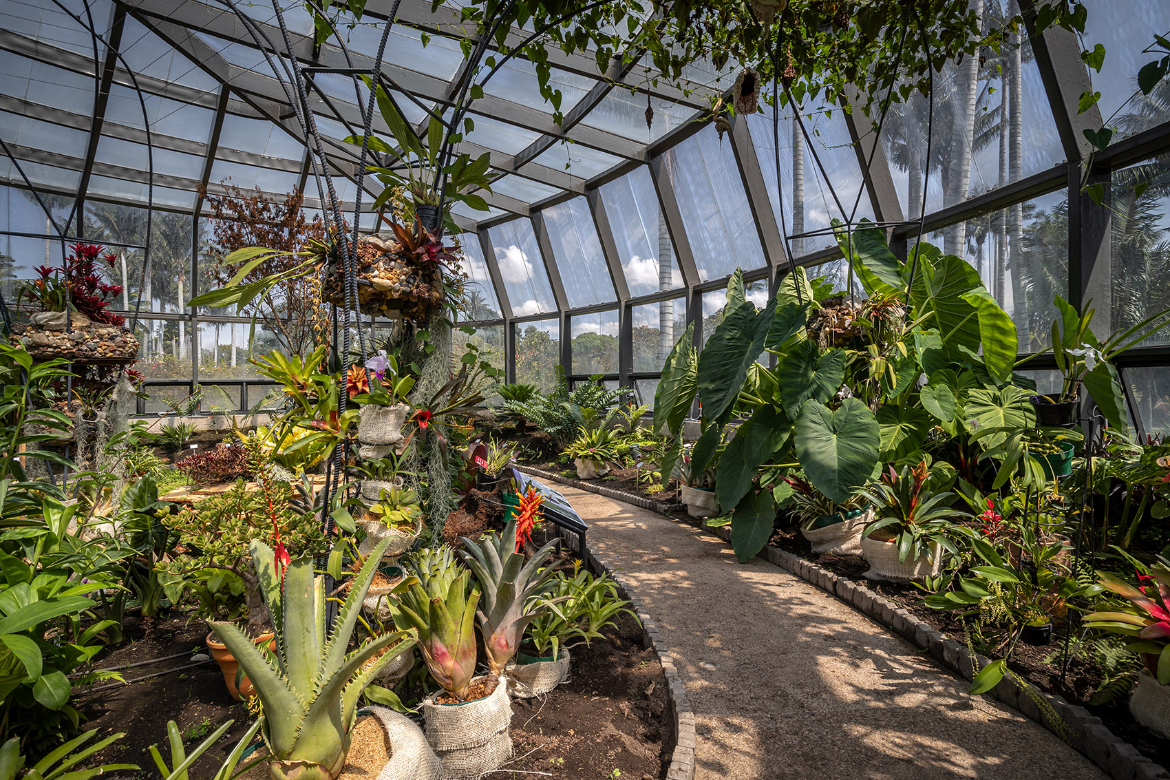 圣菲波哥大热带植物园丨哥伦比亚丨DARP-44