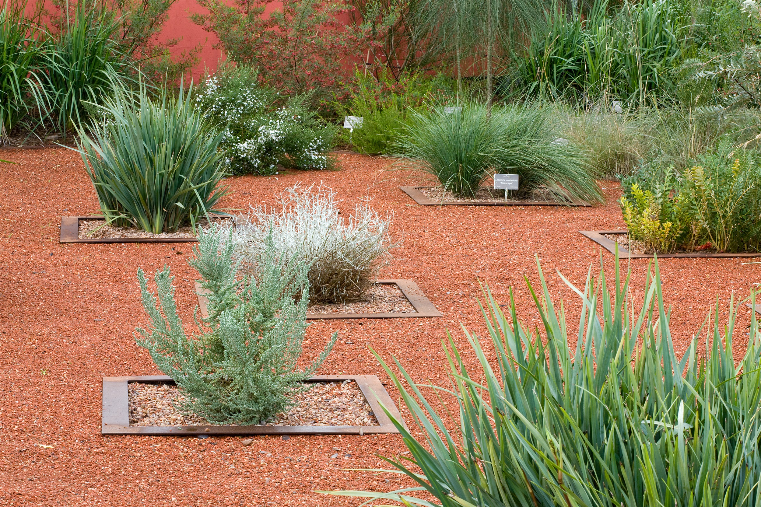 阿德莱德植物园本土花园丨澳大利亚阿德莱德丨TCL-7