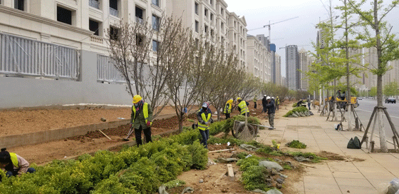 融创·海逸长洲(大区)-108