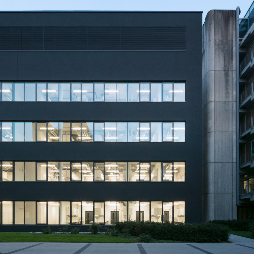 黑 façade 的集成感染疾病研究中心(CIID)-7